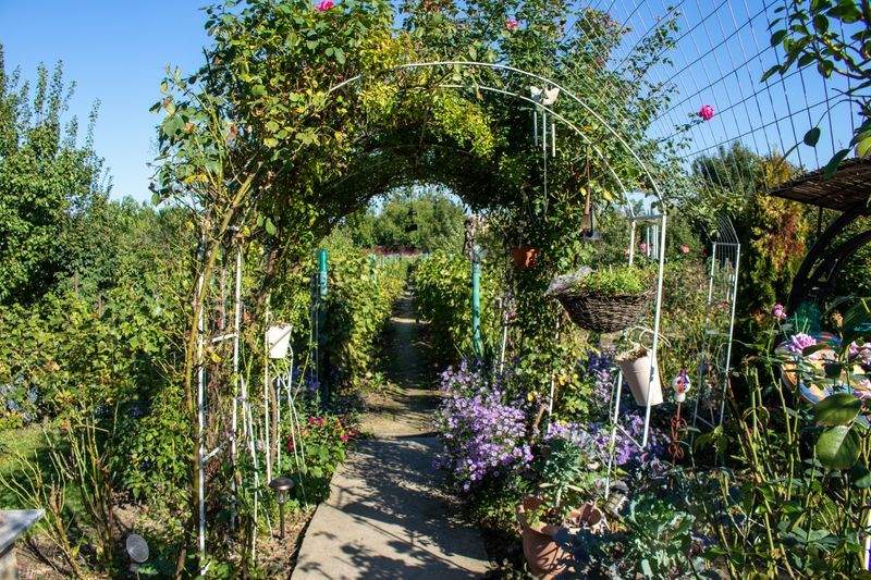 Alpenblatt Gartenpflege GmbH 6