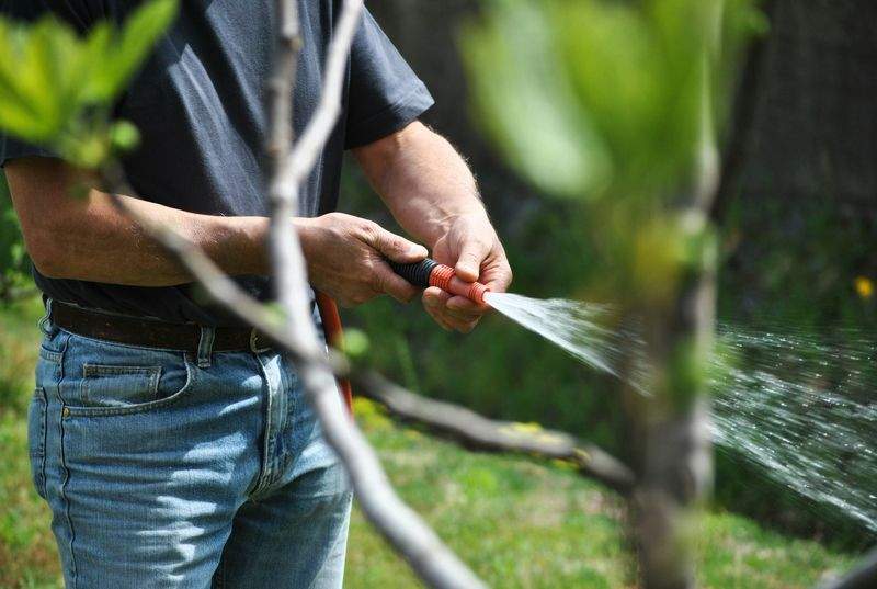 Professionelle Gartenpflege für gepflegte Außenanlagen mit Charakter.